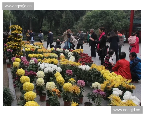 花球绽放的艺术魅力与园林景观设计灵感解析